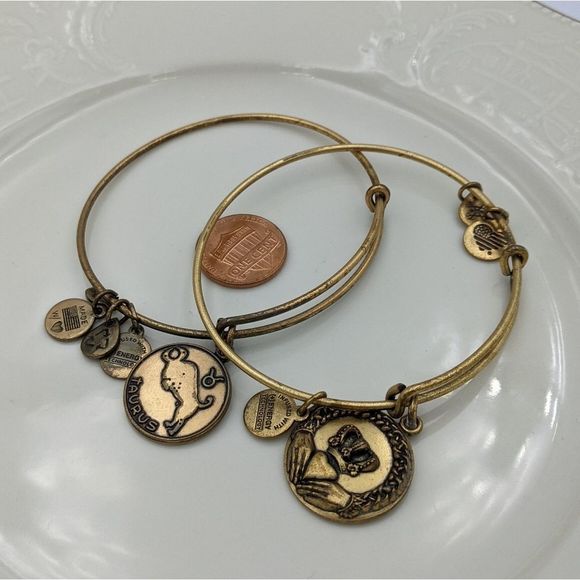 Alex Ani Rafaleian Gold Claddaugh Taurus Bracelet - Picture 3 of 8